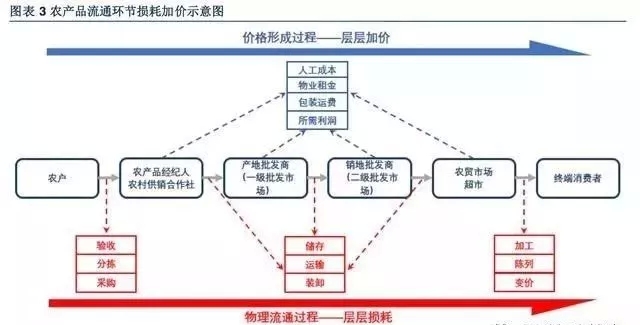 640.webp (1).jpg