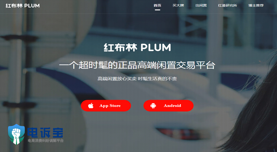 红布林plum.jpg