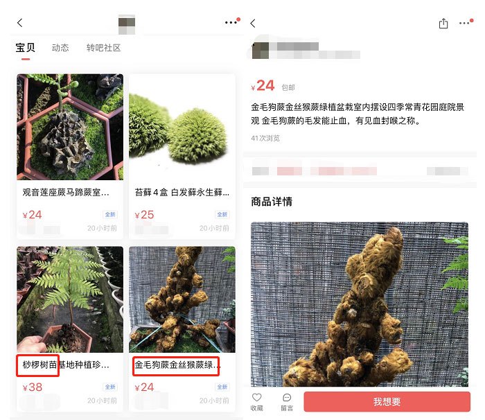 黄炜“默不作声”：转转审核机制漏洞频发 手机验机报告不实问题多 | 互联网315进行时