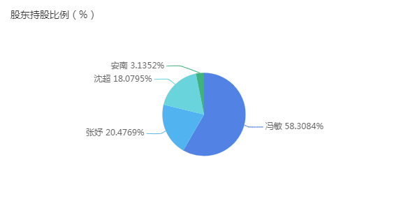 股东持股比例（%）.png