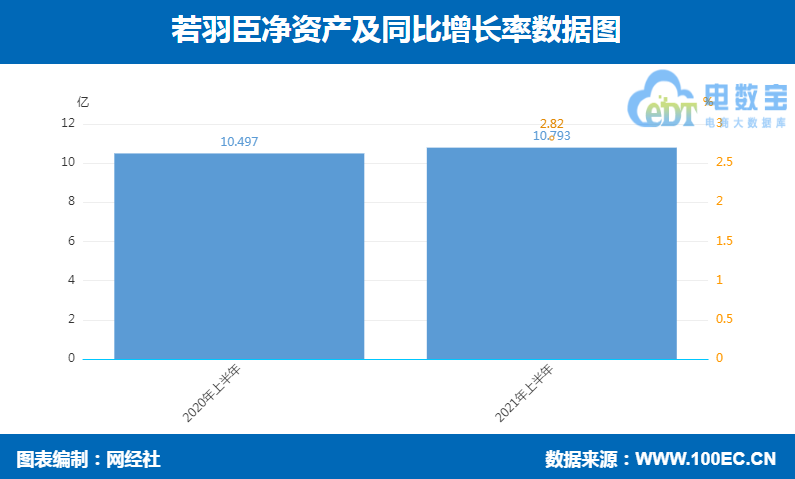 若羽臣 净资产.png