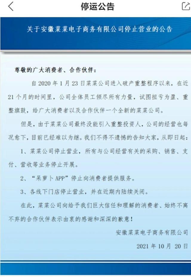 呆蘿卜.jpeg
