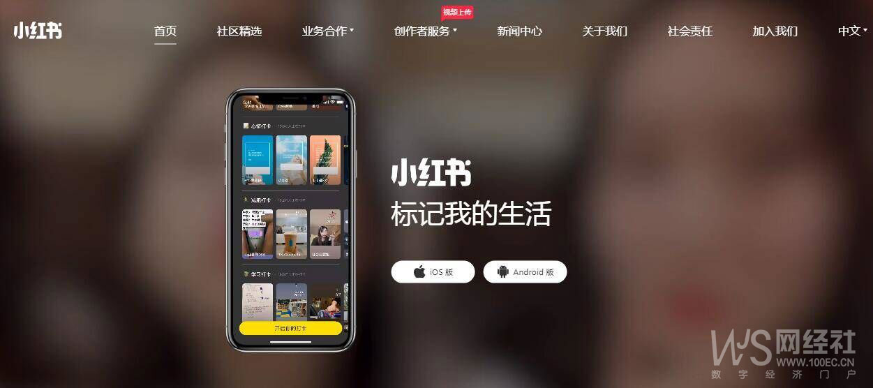 小红书.jpg