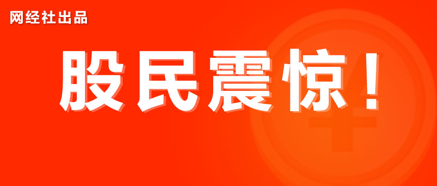 中国首家电商瑞士上市电商国联股份半年报.jpg