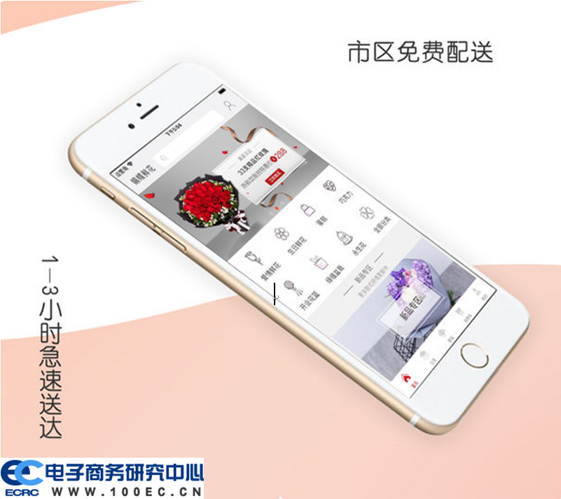 蝶娟鲜花.png