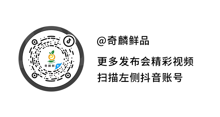 02.png