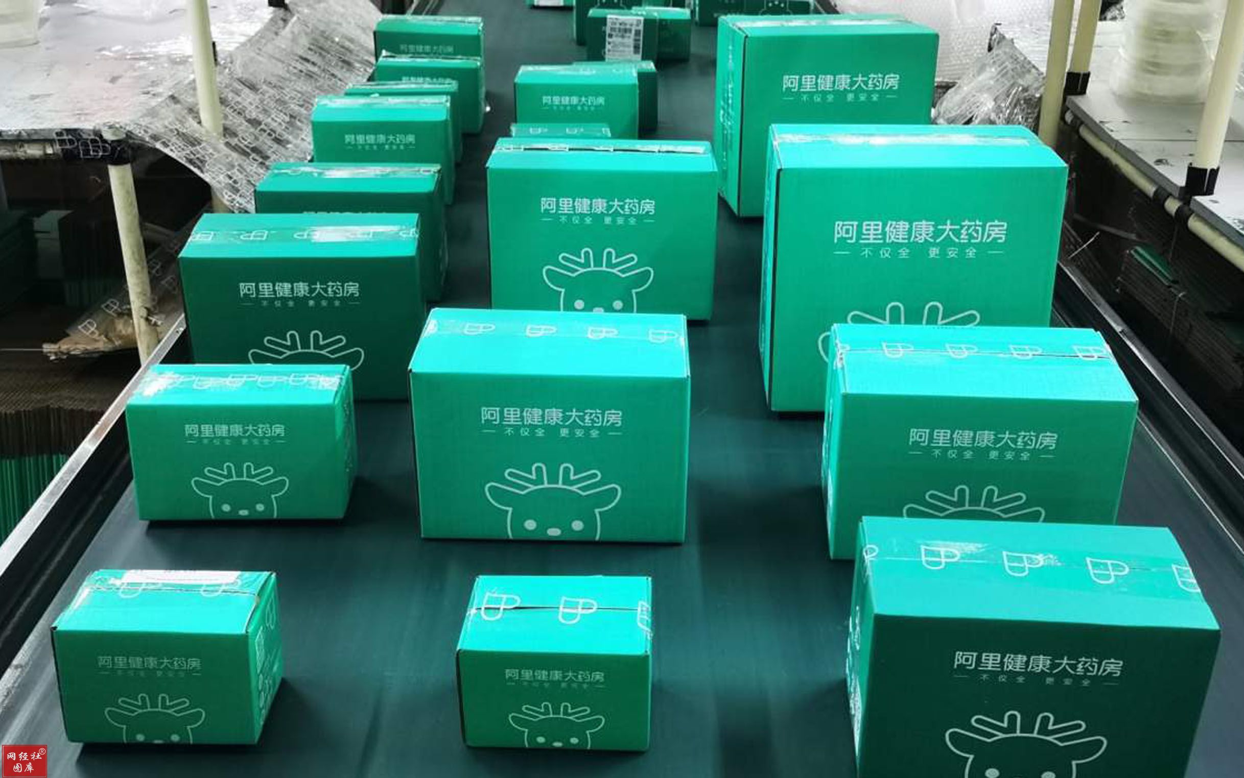 643cad131a4ec.jpg