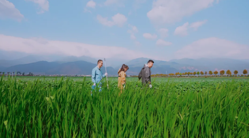 屏幕截图 2025-07-01 163939.png
