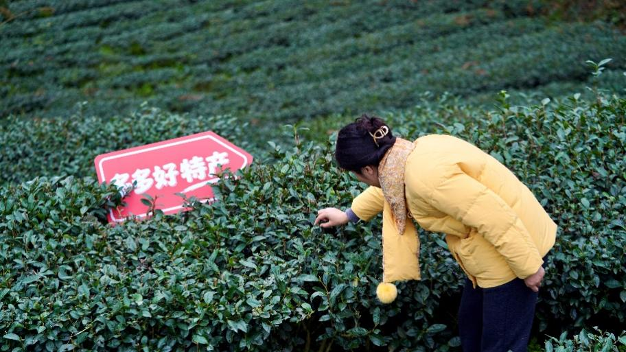 图片11.png