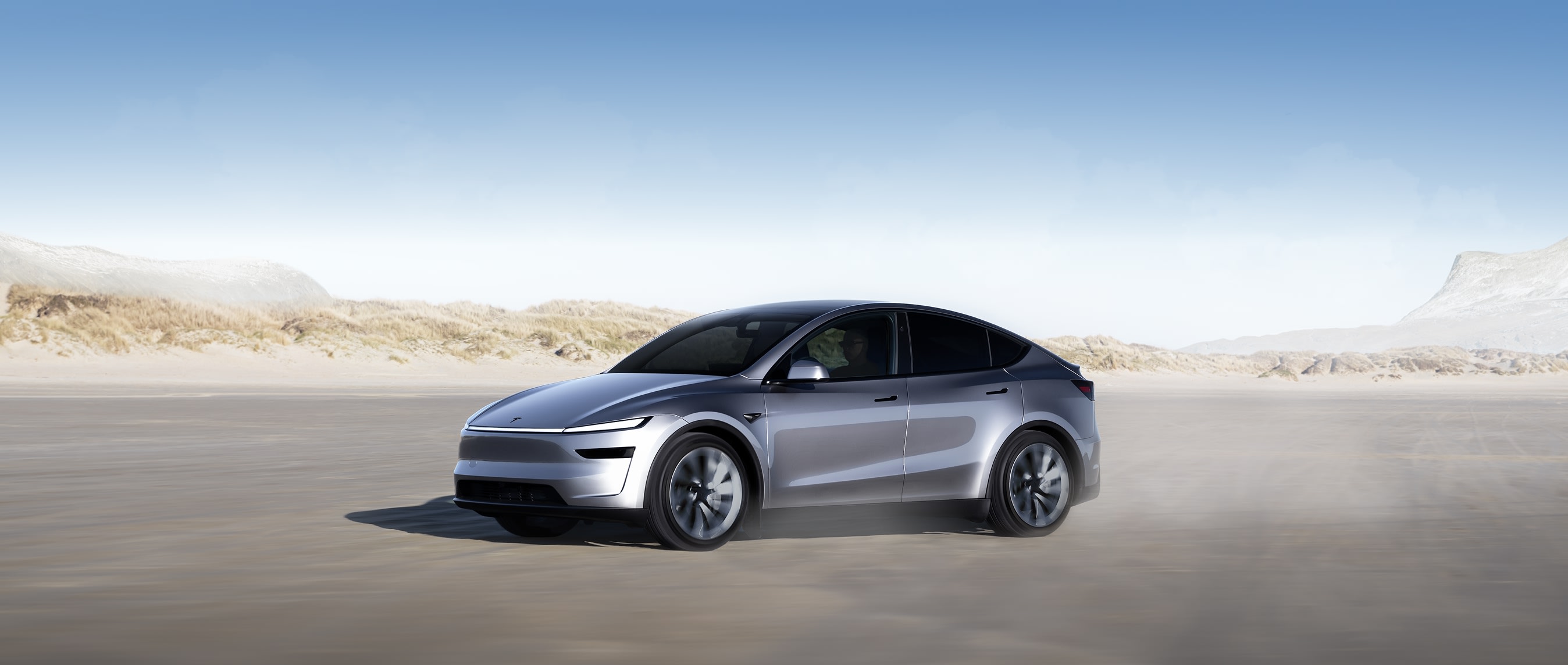 Model Y Hero